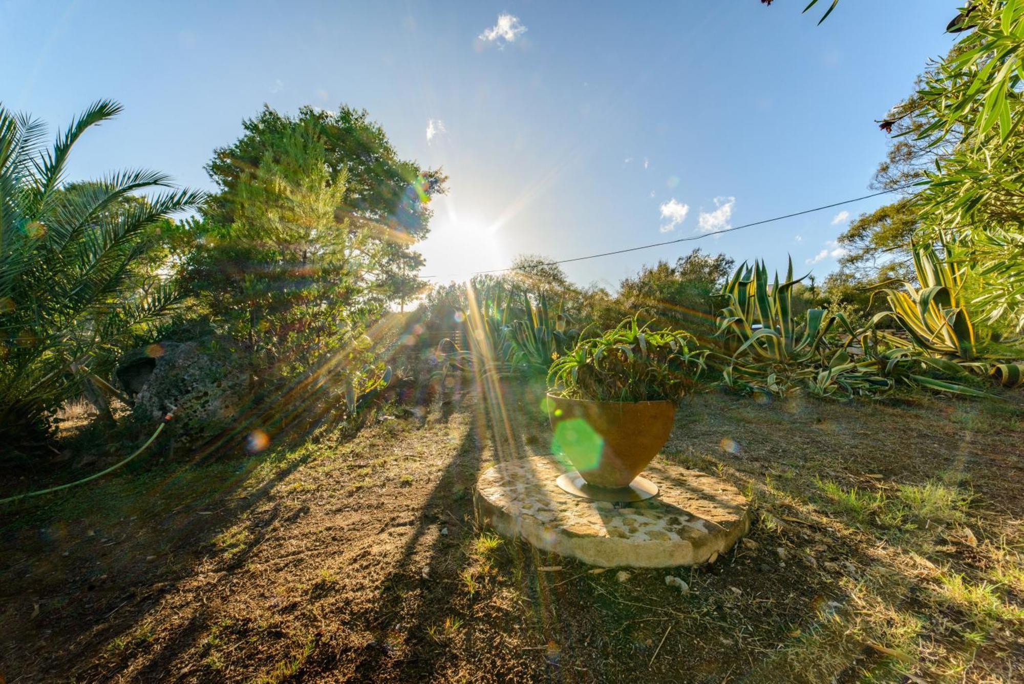 Maravilla Casa Vacanze Olbia Eksteriør billede